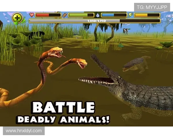 野生大动物与野生动物激烈对决，谁能称霸自然界的生存游戏